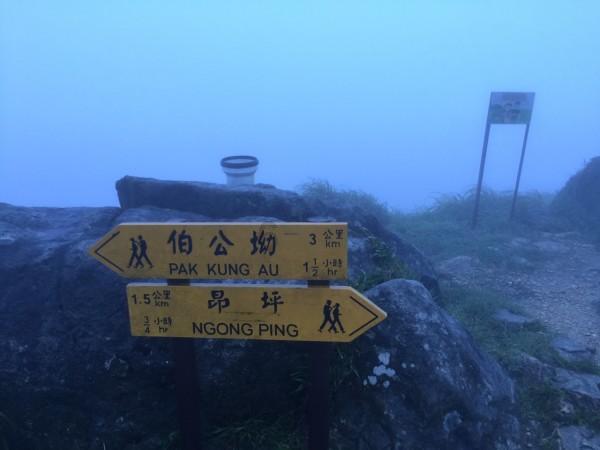 A股市场情绪低点，核心龙头资产显韧性